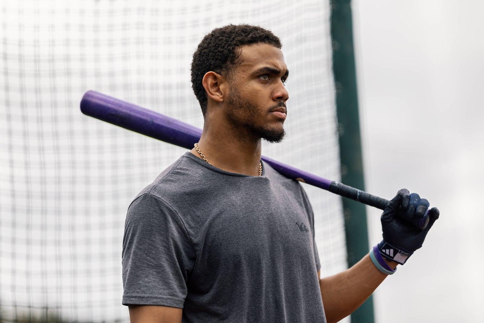 Hitter with a bat on his shoulder in front of the tunnel netting